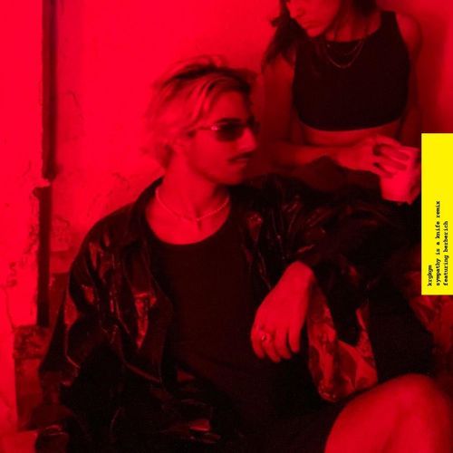 sympathy is a knife (remix)
