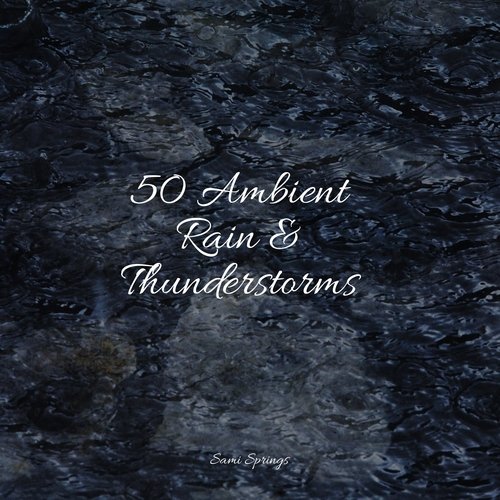 50 Ambient Rain & Thunderstorms