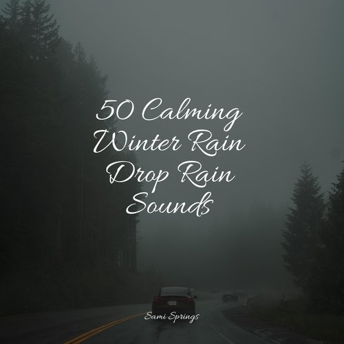 50 Calming Winter Rain Drop Rain Sounds_poster_image