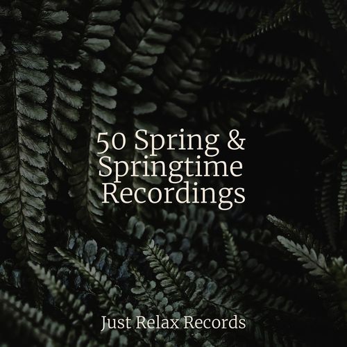 50 Spring & Springtime Recordings