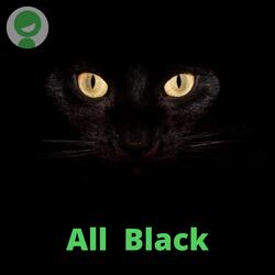 All Black-NRsRWDhFdlY