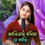 Anginay Boshiyare Pakhi