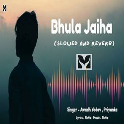 Bhula Jaiha (Slowed and Reverb)-Ai4-eRtYb1E