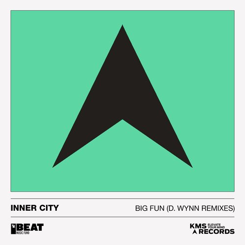 Big Fun (D. Wynn Remix) cover art