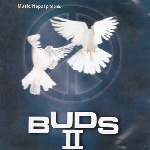 Buds II_poster_image