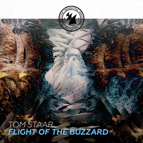 Flight Of The Buzzard_poster_image