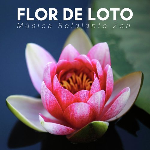 Flor de Loto cover art
