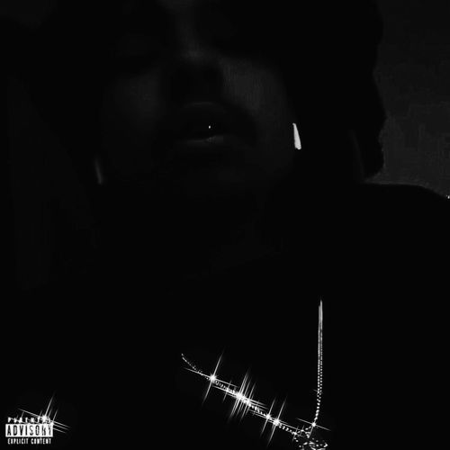 Heavy Weights cover art