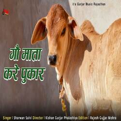 Gau Mata Kare Pukar-FSclfxEAZQY