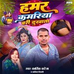 Hamar Kamariya Bari Dukhata