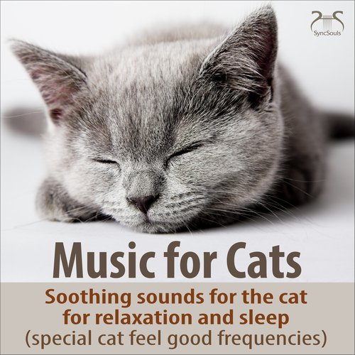 Music for Cats - Soothing Sounds for the Cat for Relaxation and Sleep (Special Cat Feel Good Frequencies)_poster_image