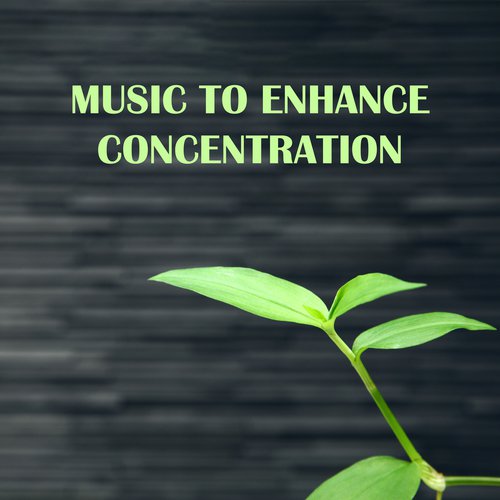 Music to Enhance Concentration – Relaxing Songs for Improve Concentration, Music for Learning, Better Studying