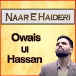 Naar E Haideri-FSIcASQAUmU