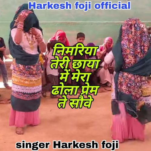 Nemeriya Teri Chhya Mai Mero Dhola Prem Se Sove