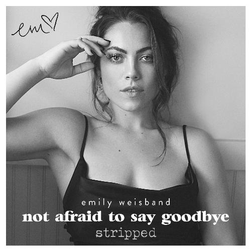 Not Afraid to Say Goodbye (Stripped)_poster_image