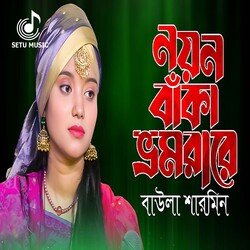 Noyon Baka Vromorare