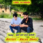 म्हारे लारे चाल करौली