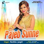 Pajeb Sunne