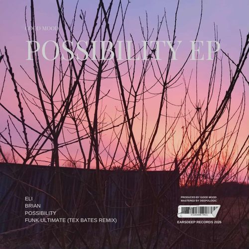 Brian cover art