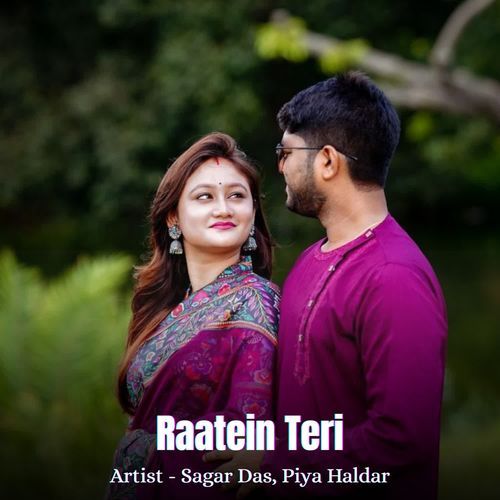 Raatein Teri