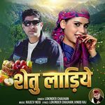 Shetu Ladiye artwork