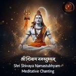 Shri Shivaya Namastubhyam-Meditative Chanting
