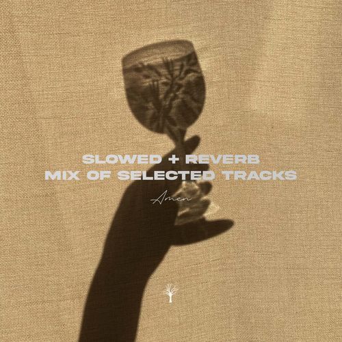 Slowed + Reverb Mix of Selected Tracks