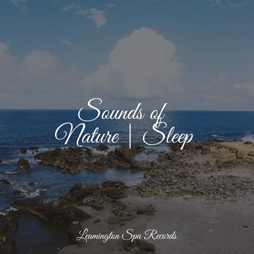 Ambient Sounds cover art