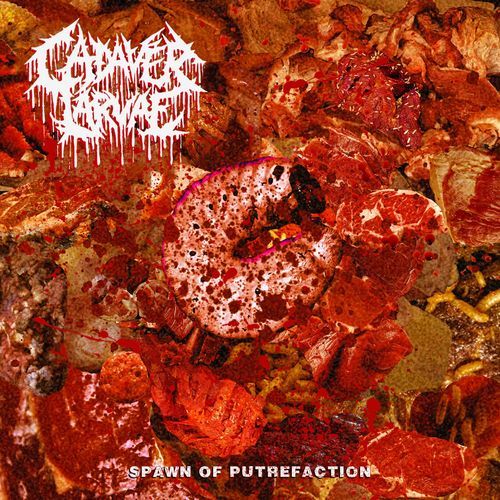 Sacrament Of Cryptic Slaughter cover art