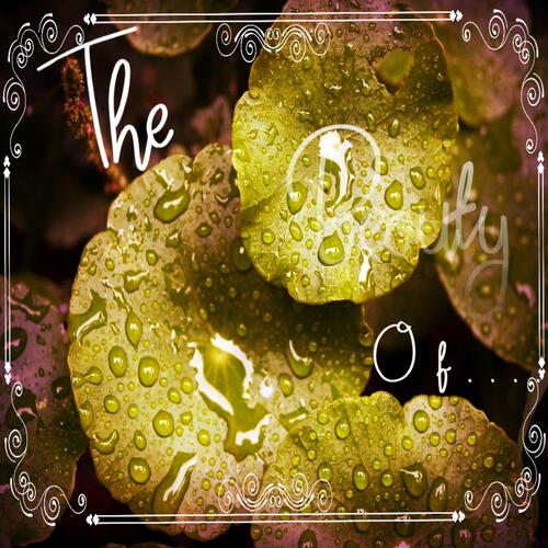 The beauty of...