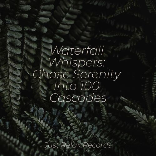 Echoes of Grey Haze cover art