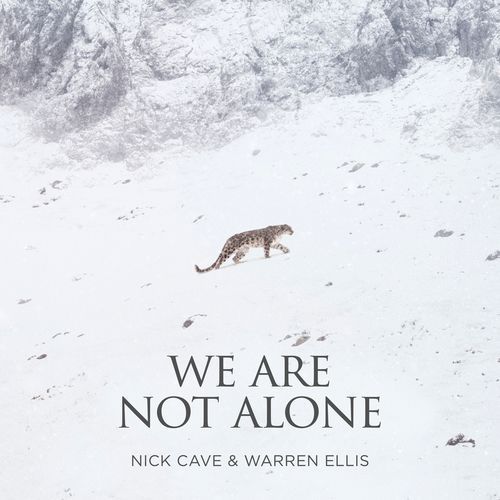 We Are Not Alone