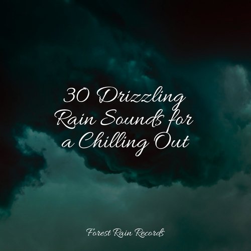 Rain, Storm and Thunder cover art