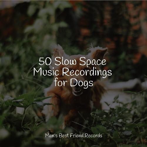 50 Slow Space Music Recordings for Dogs
