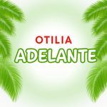 Adelante (Radio Edit)