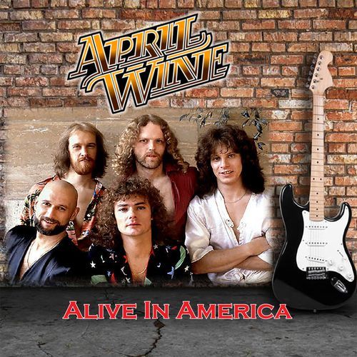 Alive In America_poster_image