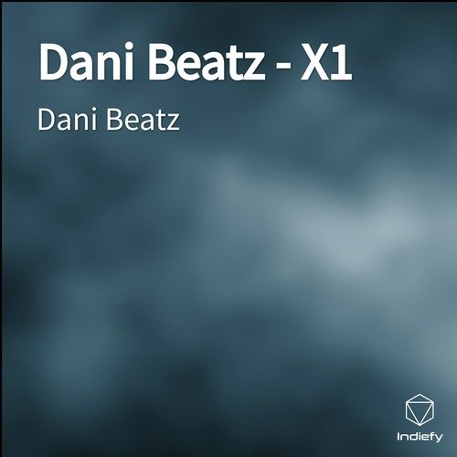Dani Beatz - X1 cover art
