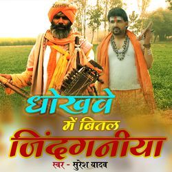 Dhokhawe me bital jindganiya