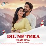 Dil Ne Tera Naam Liya_poster_image
