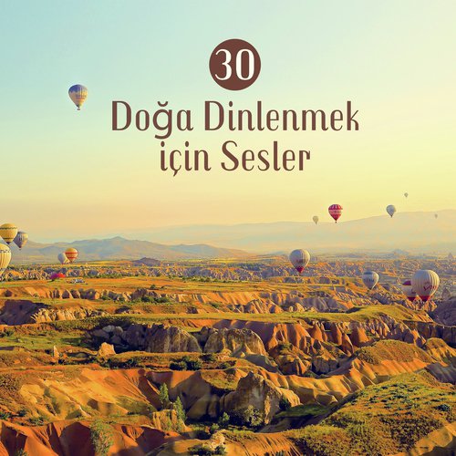 Yansımalar cover art