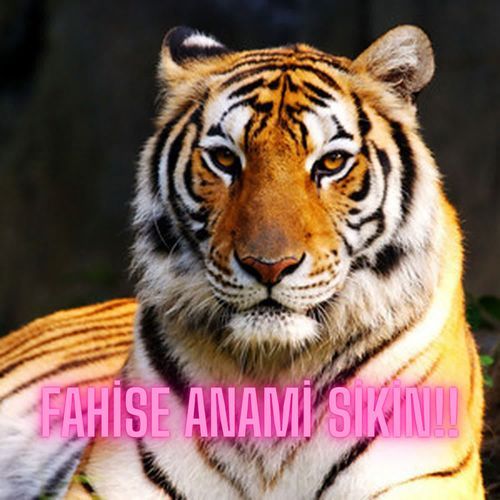 Fahise Anami Sikin!!
