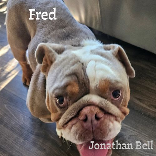 Fred cover art