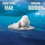 L'ours