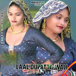 Laal Dupatta Wali (Mewati)