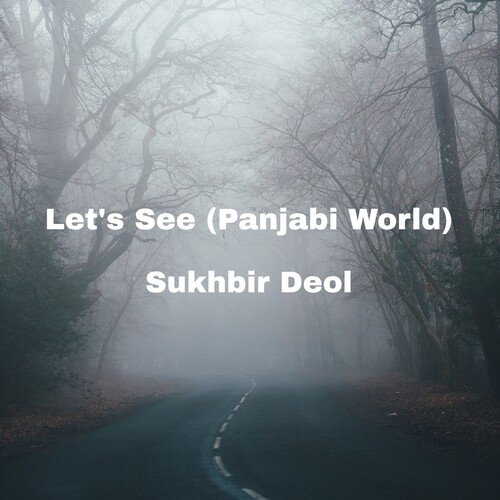 Let's See (Panjabi World)