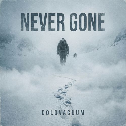 Never Gone
