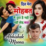 दिल मेरा मोहब्बत में टूटा है नहीं दम नहीं तोड़ बाड़ा में