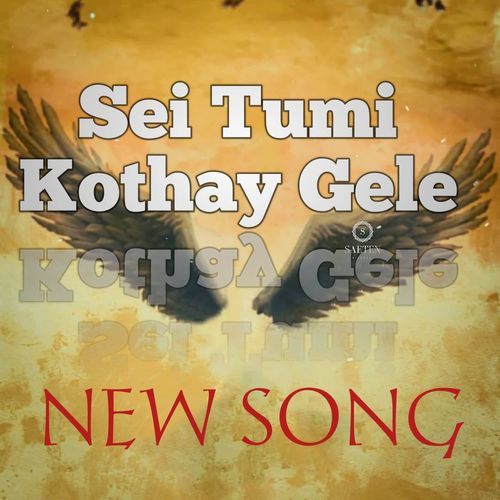 Sei Tumi Kothay Gele (Live)