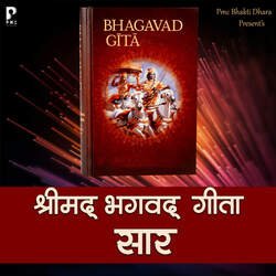 Shreemadh Bhagwat Geeta Saar-PxAGST96AwI