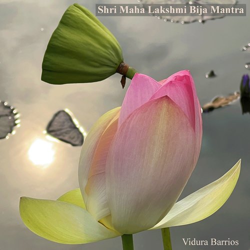 Shri Maha Lakshmi Bija Mantra